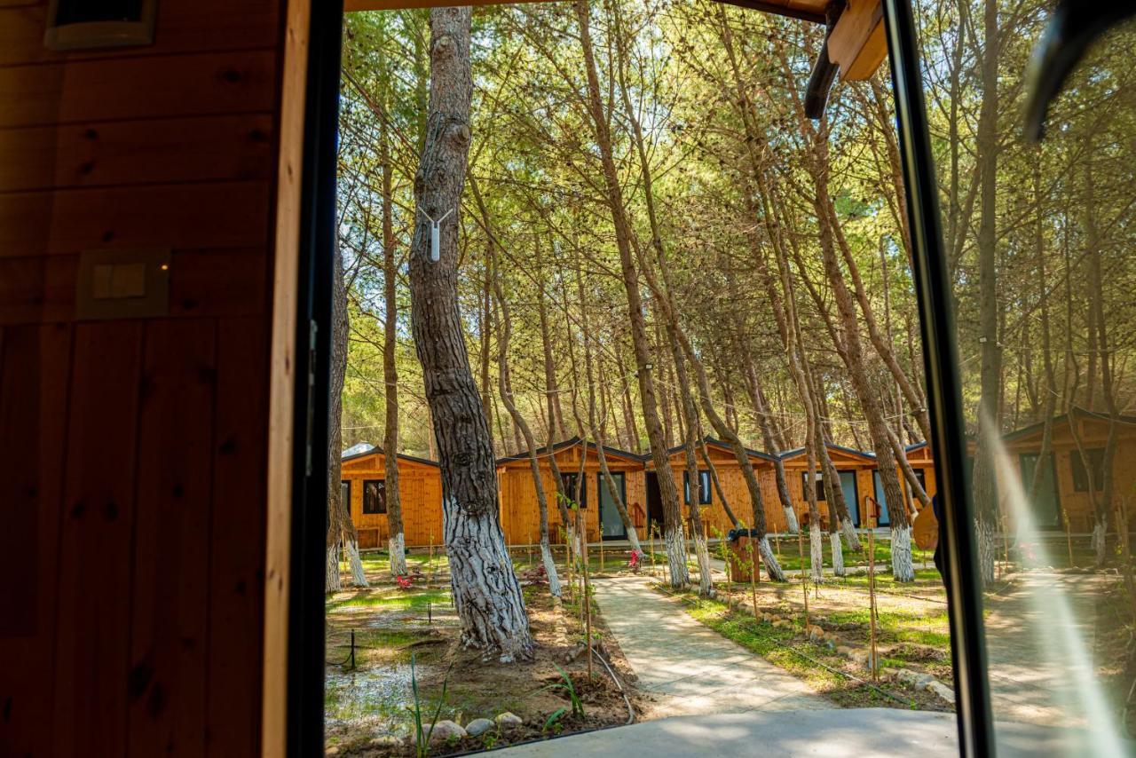 Ecuador Resort Zvernec Ngoại thất bức ảnh