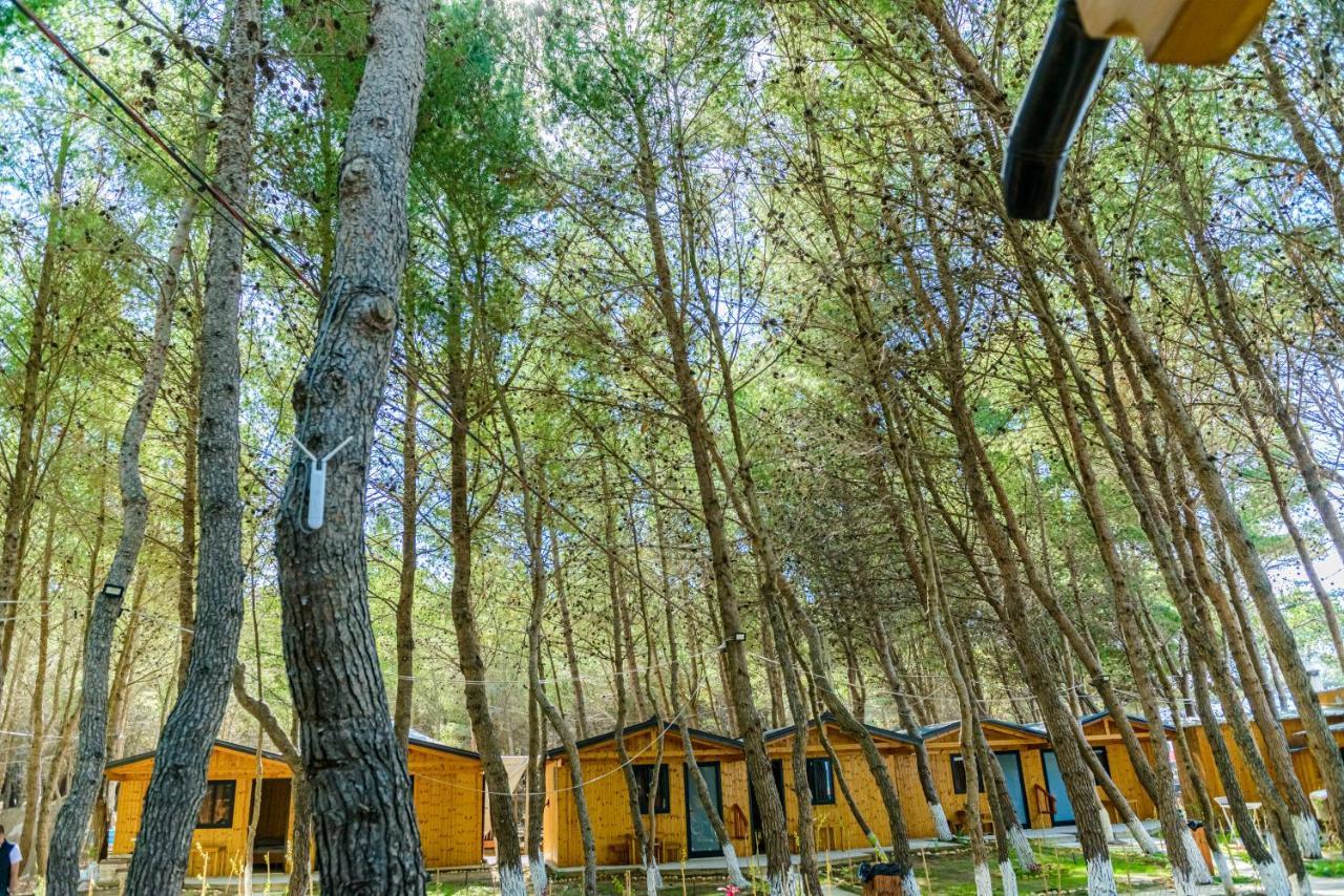 Ecuador Resort Zvernec Ngoại thất bức ảnh