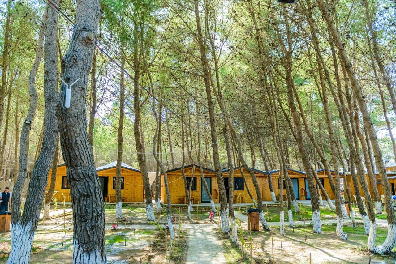 Ecuador Resort Zvernec Ngoại thất bức ảnh